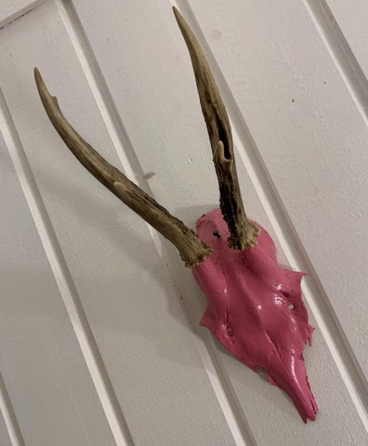Pinkdeer Lägenhet Hallstatt Exteriör bild